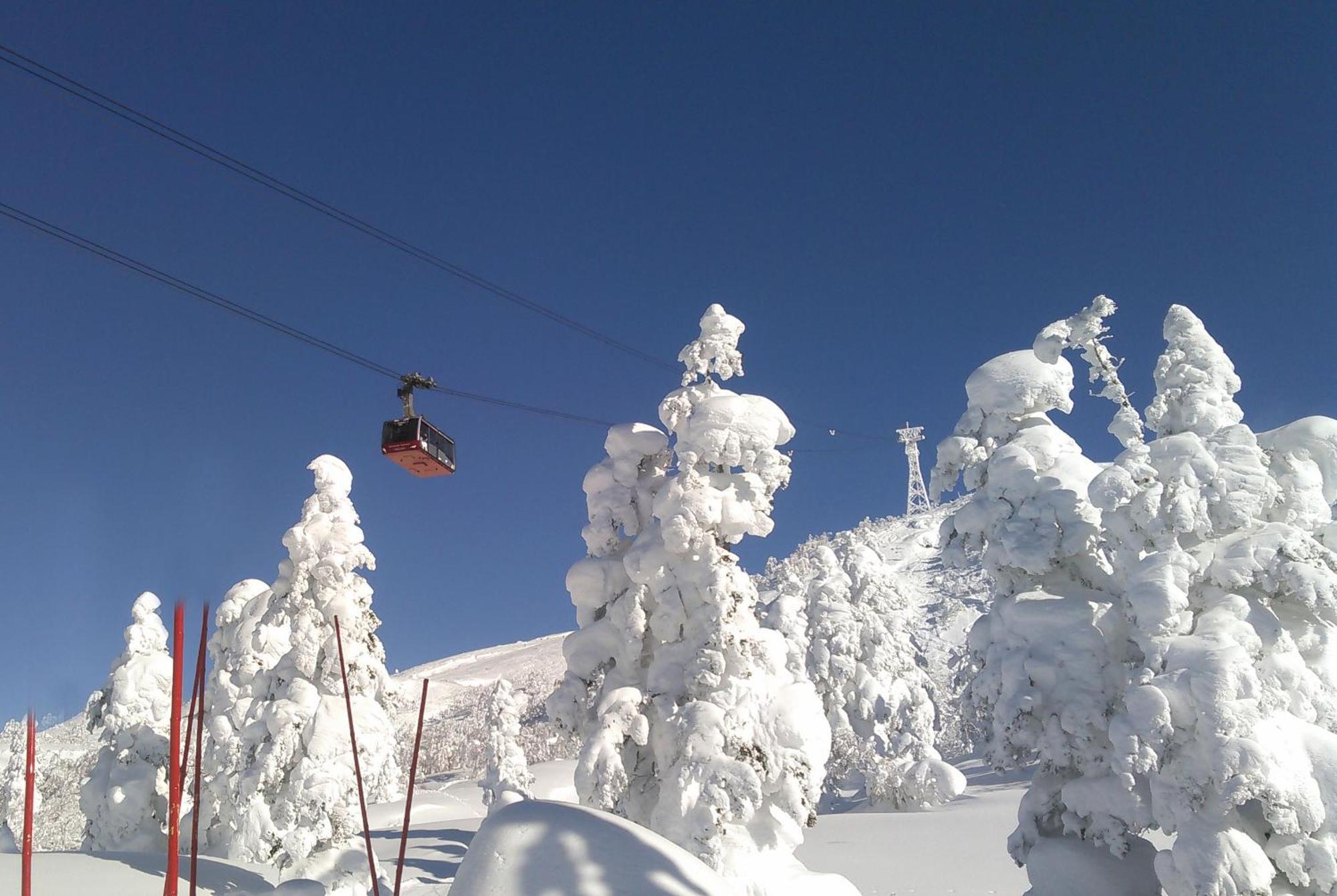 Asahidake Onsen Bear Monte Hotel